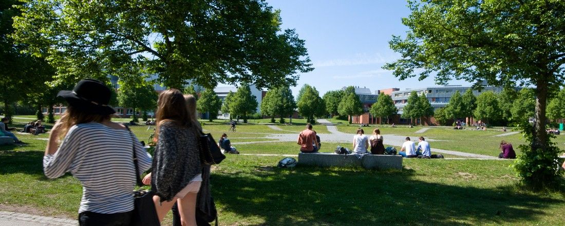 banner-studium-studiengaenge